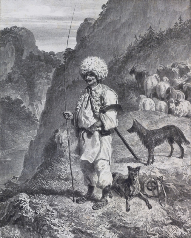 Păcurari bănăţean, 1837, Drencova